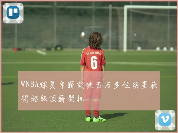 WNBA球员年薪突破百万多位明星获得超级顶薪契机